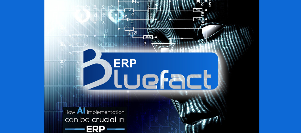 ERP BlueFact
